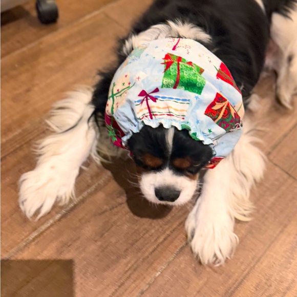 SNOOD Long Eared Dog Hat for Mealtime & Feeding - Picture 11 of 17